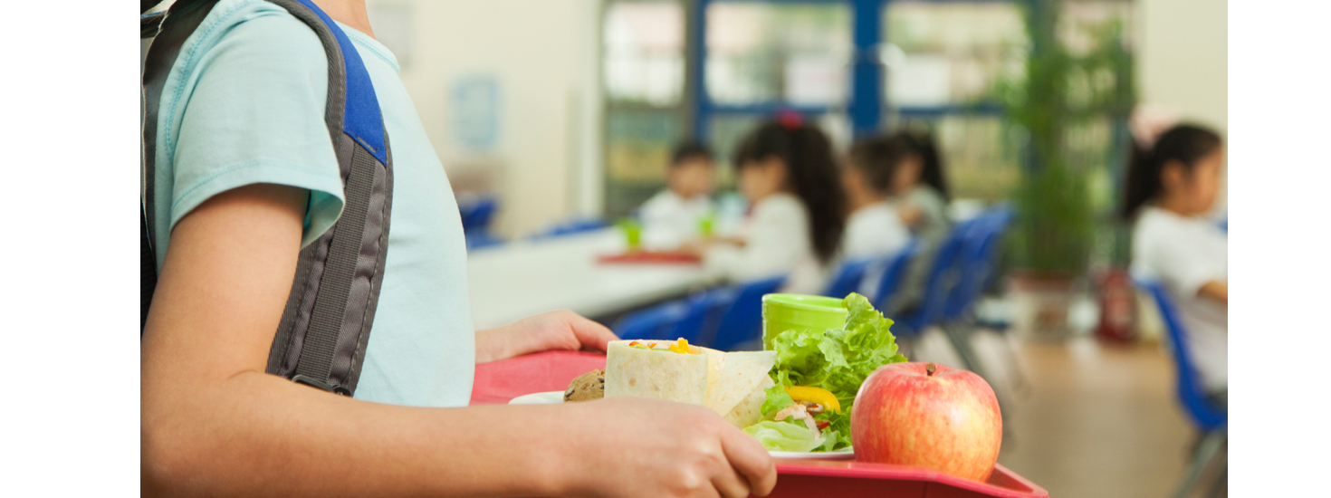 Despacho n.º 8452-A/2015